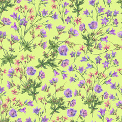 Seamless pattern with bouquets violet bluebell (Campanula patula, little bell, rapunzel), meadow geranium and pink ragged-robin wildflowers. Watercolor hand drawn painting illustration isolated