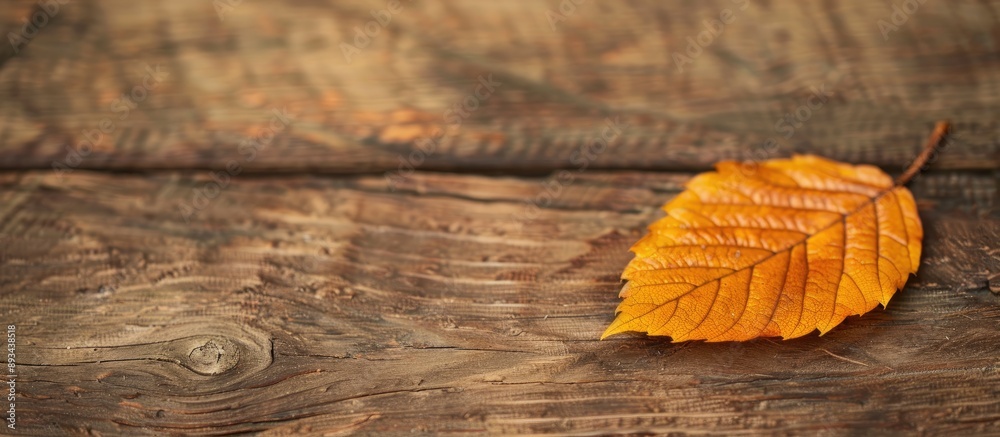 Wall mural dry leaf on the table showcasing copy space image