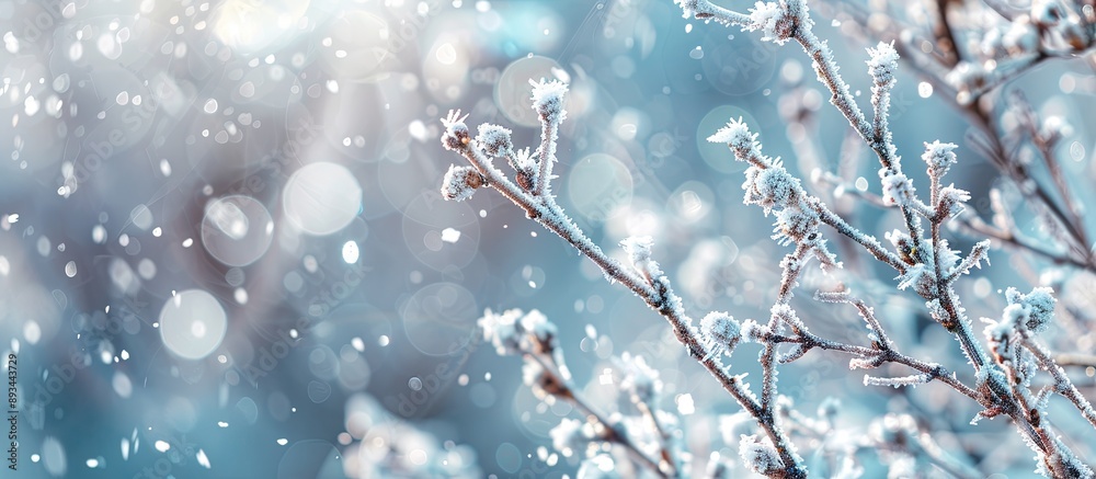 Poster Snow covered branches adorned with hoarfrost create a serene winter scene with gentle snowflakes falling on a blurred background perfect as a winter themed copy space image