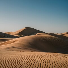 sand dunes in the desert