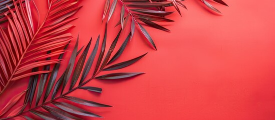 Tropical vacation concept featuring red palm fronds set against a coral background with copy space image