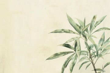 Plant herbal herbs leaf