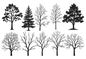 Obraz premium Autumn Forest Landscape Design Element - Tree Branch Silhouette
