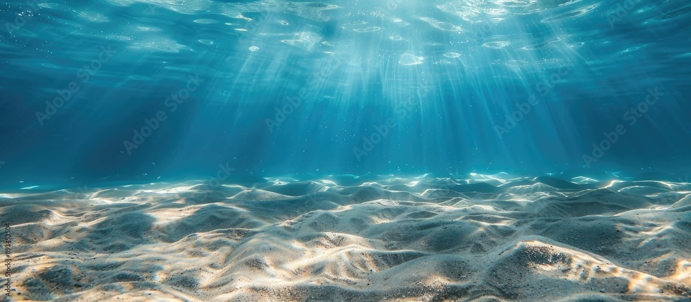 Poster Underwater background with a sandy sea bottom ideal for copy space image