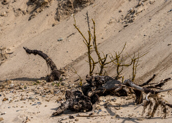 Landschaft an der Küste in Rügen, Rügen, Mecklenburg-Vorpommern, Deutschland