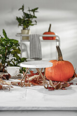 Marble stone cube stand pedestal with copy space for products and autumn background with orange pumpkins and autumn tree leaves. White wall with sunlight backhround.