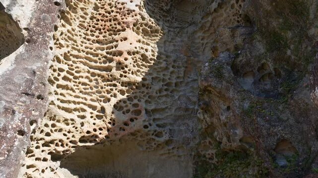 Slow tilt-up shot of Mushikui-iwa in Horon, Wakayama, Japan. Captures the unique rock formations and scenic beauty. Ideal for nature films, travel documentaries, and promos.