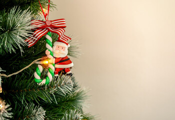 Merry Christmas and Happy New Year concept. Santa Clause hug candy cane with ribbon ornament hanging on green Christmas tree fur, decorated with twinkling light on white background with copy space.