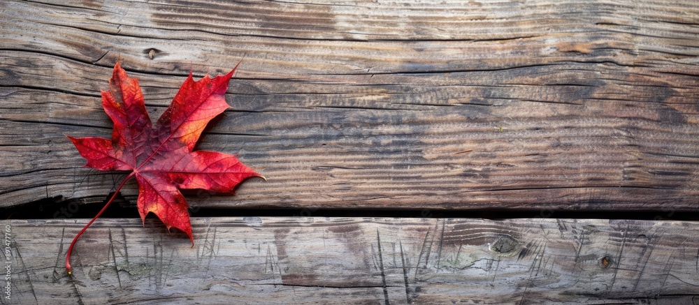 Poster autumnal red maple leaf on wood table with available copy space image
