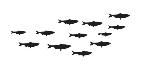 Silhouette of a school of fish, isolated on a white background.