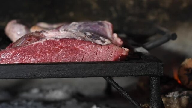 Carne a la parrilla. Cocinar carne. Cocinar a las brasas. 