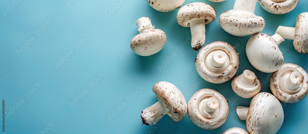 Poster Close up image of champignons on a blue background with copy space image