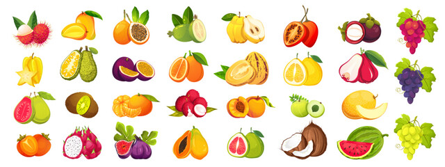 Set of fruits.Tropical fruit papaya,passion fruit,mango,jackfruit,grapes.Vector illustration.