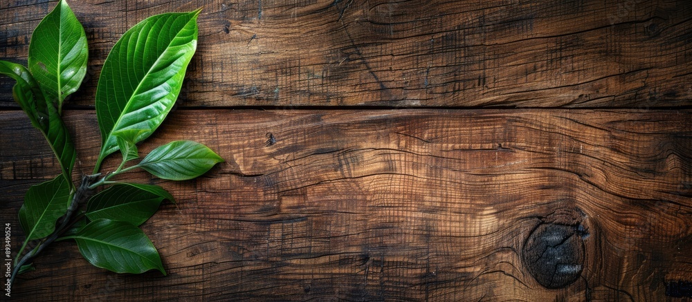 Aufkleber top down perspective of vintage wooden board with rustic appearance adorned with a lush green leaf s
