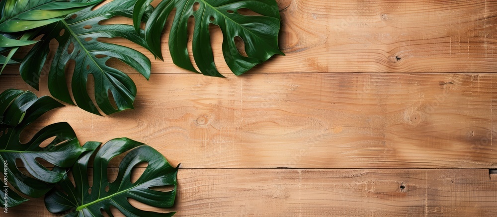 Poster Top down view of Monstera leaves on a wooden surface in a summery setting with space for additional elements in the image