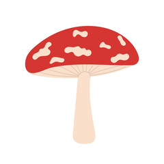 Fly agarics are hand drawn, flat vector illustration. Poisonous forest mushrooms icon eps 10
