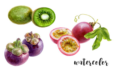 Watercolor Fruits Collection Kiwi, Passion Fruit, Mangosteen, vibrant illustrations