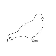 Pigeon bird icon Flat cartoon character design. Bird icon