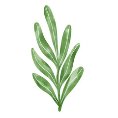 Watercolor leaves element.