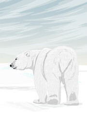 Fototapeta premium A large polar bear walks through the snow. Arctic and Arctic Circle. Permafrost. Realistic vector vertical landscape