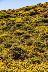 Paisaje en la Palma, Canarias.
