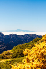 Paisaje en la Palma, Canarias.