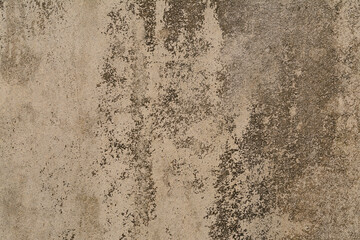 The old surface of time