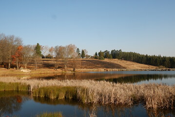 Crisp morning sunrise on the farm overlooking the lake towards the house