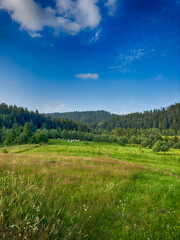The landscape of Carpathian Mountains in the cloudy weather. Perfect weather condition in the summer season