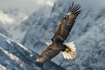 Fierce eagle soaring high above a majestic mountain range with sharp eyes focused below and detailed feathers