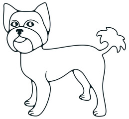 Yorkshire terrier, terrier, dog. Animal, pet, pet shop and veterinary clinic, illustration