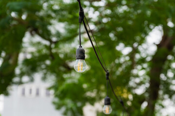 LED light bulb, with a background of garden in home, outdoor lighting