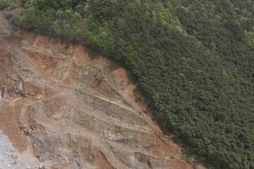 mountains forest