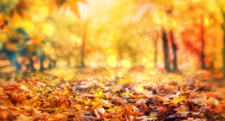 yellow fall leaves, autumn blurred natural background