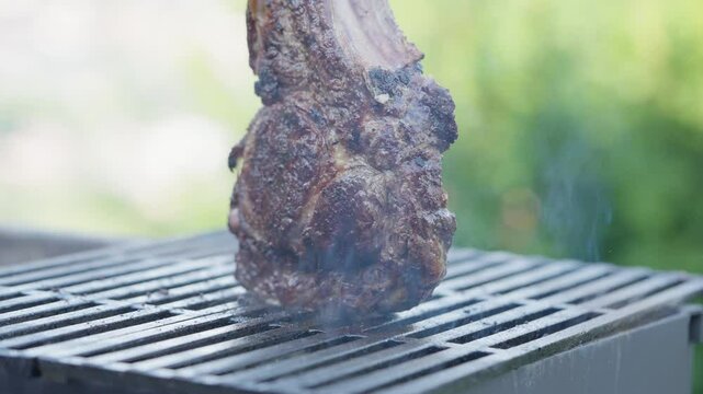 A product of animal origin, most likely beef , sizzles on the grill, emitting enticing flavors. Animal fat is used in the cooking process, and it is soon served as a delicious dish in this kitchen