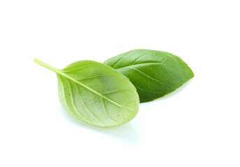 Basil green leaves isolated on white background