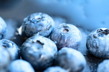 Several wet blueberries close-up, macro.