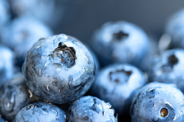 Several wet blueberries close-up, macro.