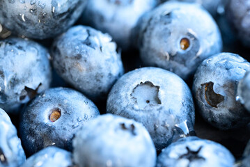 Several wet blueberries close-up, macro.