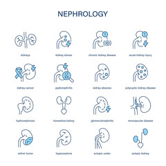 Common Nephrology diseases vector icon set. Line medical icons.	