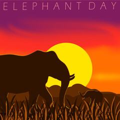 Fototapeta premium World Elephant Day event animal banner. A large elephant walking on the grass at sunset to celebrate on August 12th