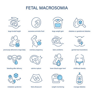 Fetal Macrosomia symptoms, diagnostic and treatment vector icons. Medical icons.