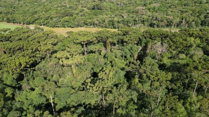 Panorama from the top of the forest reserve in Apucarana in 
 environment.  Raposa ecological park. With forest forest of biodiversity and conservation.