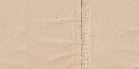 Fototapeta premium Aged paper texture. Double- page parchment grunge background universal use