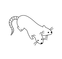 Vector isolated two headed mutant rat mouse tattoo colorless black and white contour line easy drawing