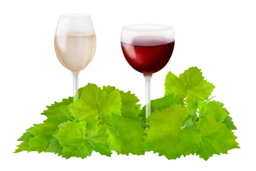 Rotwein Weisswein und Weinblätter   Hintergrund transparent PNG cut out   red white wine vine leaves