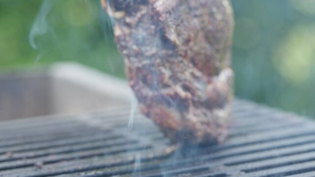 A product of animal origin, most likely beef , sizzles on the grill, emitting enticing flavors. Animal fat is used in the cooking process, and it is soon served as a delicious dish in this kitchen