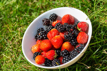 Frische Erdbeeren und Brombeeren aus dem Garten