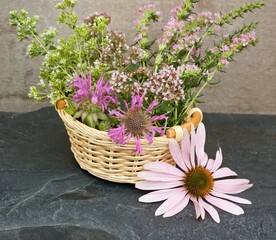 Fresh aromatic herbs in a basket on stone. Greek and common oregano, pink hyssop Hyssopus officinalis,  flower heads of Monarda didyma in basket and Echinacea pupurea on stone.