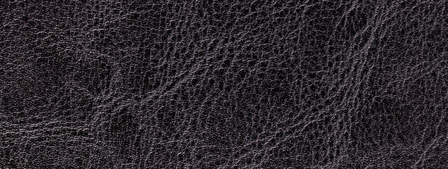Lacquered black leather texture background with pattern, macro. Structure of textile backdrop
